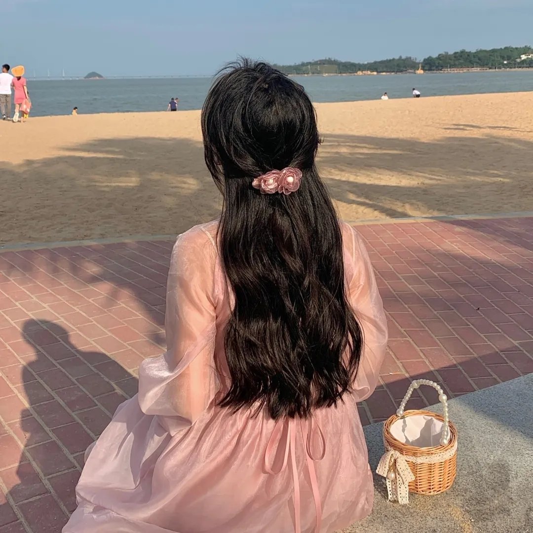 孤岛寻踪 在线观看